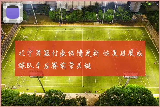 辽宁男篮付豪伤情更新 恢复进展成球队季后赛前景关键