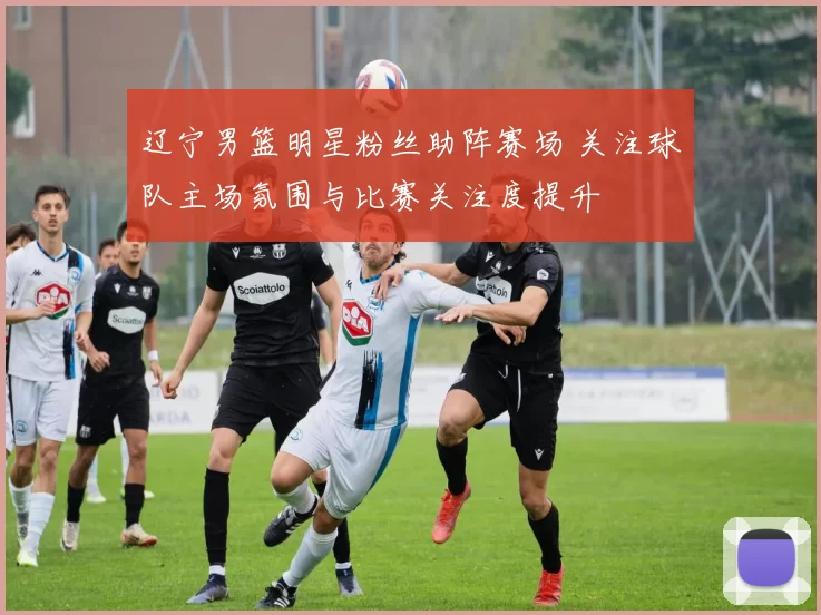辽宁男篮明星粉丝助阵赛场 关注球队主场氛围与比赛关注度提升