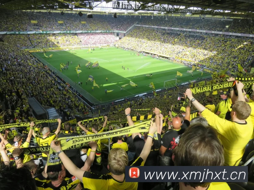 九游网页版·官方端入口 - 九游(中国)服务体系